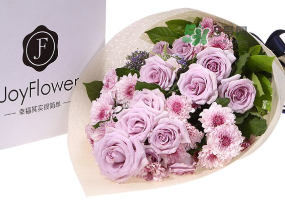 joyflower是哪國品牌？joyflower怎么樣？
