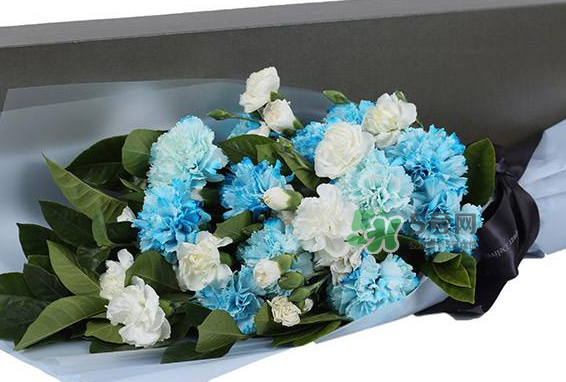 joyflower是哪國品牌？joyflower怎么樣？