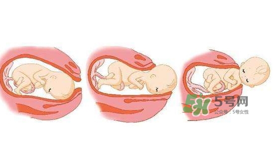 胎兒什么時(shí)候入盆？胎兒入盆后胎動(dòng)會(huì)減少嗎？