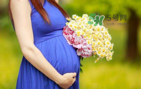 孕婦可以拔牙嗎？孕婦可以拔智齒嗎？
