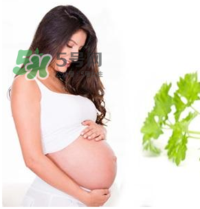 孕婦可以拔牙嗎？孕婦可以拔智齒嗎？
