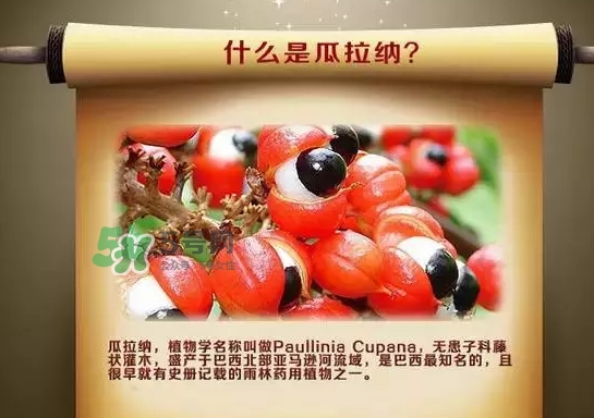 黑卡飲料多少錢一瓶？黑卡6小時價格表