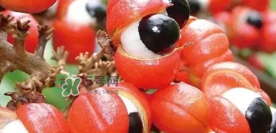 黑卡飲料多少錢一瓶？黑卡6小時價格表