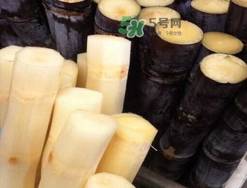 甘蔗是哪里的特產(chǎn)？甘蔗是什么地方的特產(chǎn)