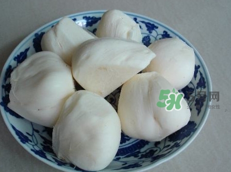 涼薯是什么東西？涼薯是地瓜嗎？