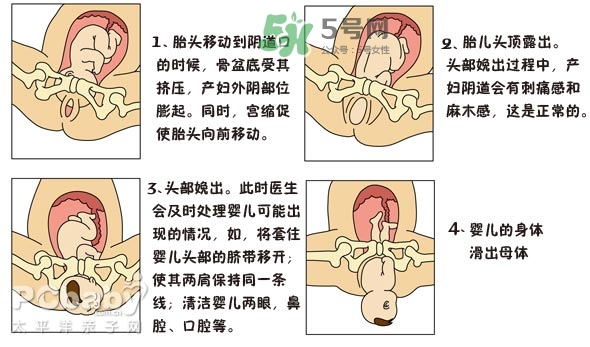 生孩子的過(guò)程是怎樣的？生孩子的真實(shí)過(guò)程