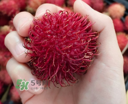 紅毛丹是什么水果？紅毛丹是熱性水果嗎？