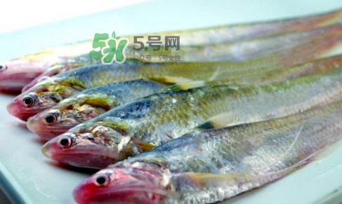 刁子魚是秋刀魚嗎？刁子魚是海魚嗎？