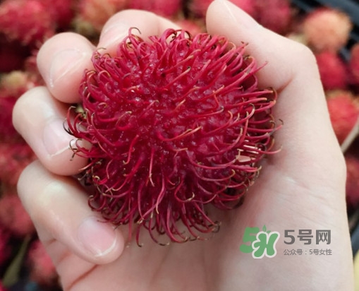 吃紅毛丹對身體有什么好處？紅毛丹有什么營養(yǎng)價值