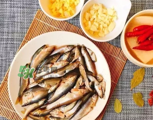 刁子魚(yú)多少錢(qián)一斤？刁子魚(yú)價(jià)格表