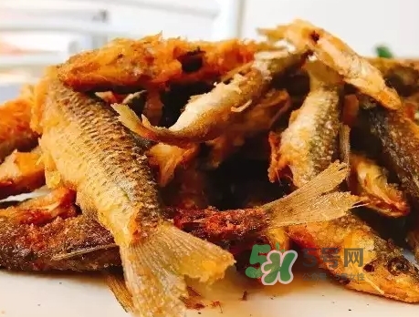 刁子魚(yú)多少錢(qián)一斤？刁子魚(yú)價(jià)格表