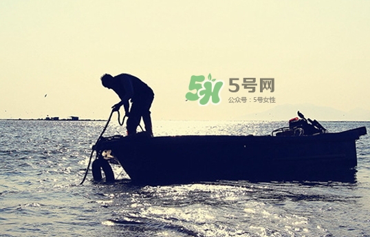 剝皮魚孕婦可以吃嗎？懷孕可以吃剝皮魚嗎？