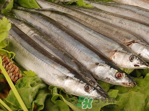 秋刀魚(yú)為什么那么便宜？秋刀魚(yú)為什么叫秋刀魚(yú)