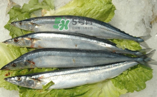 秋刀魚(yú)有魚(yú)鱗嗎？秋刀魚(yú)有寄生蟲(chóng)嗎