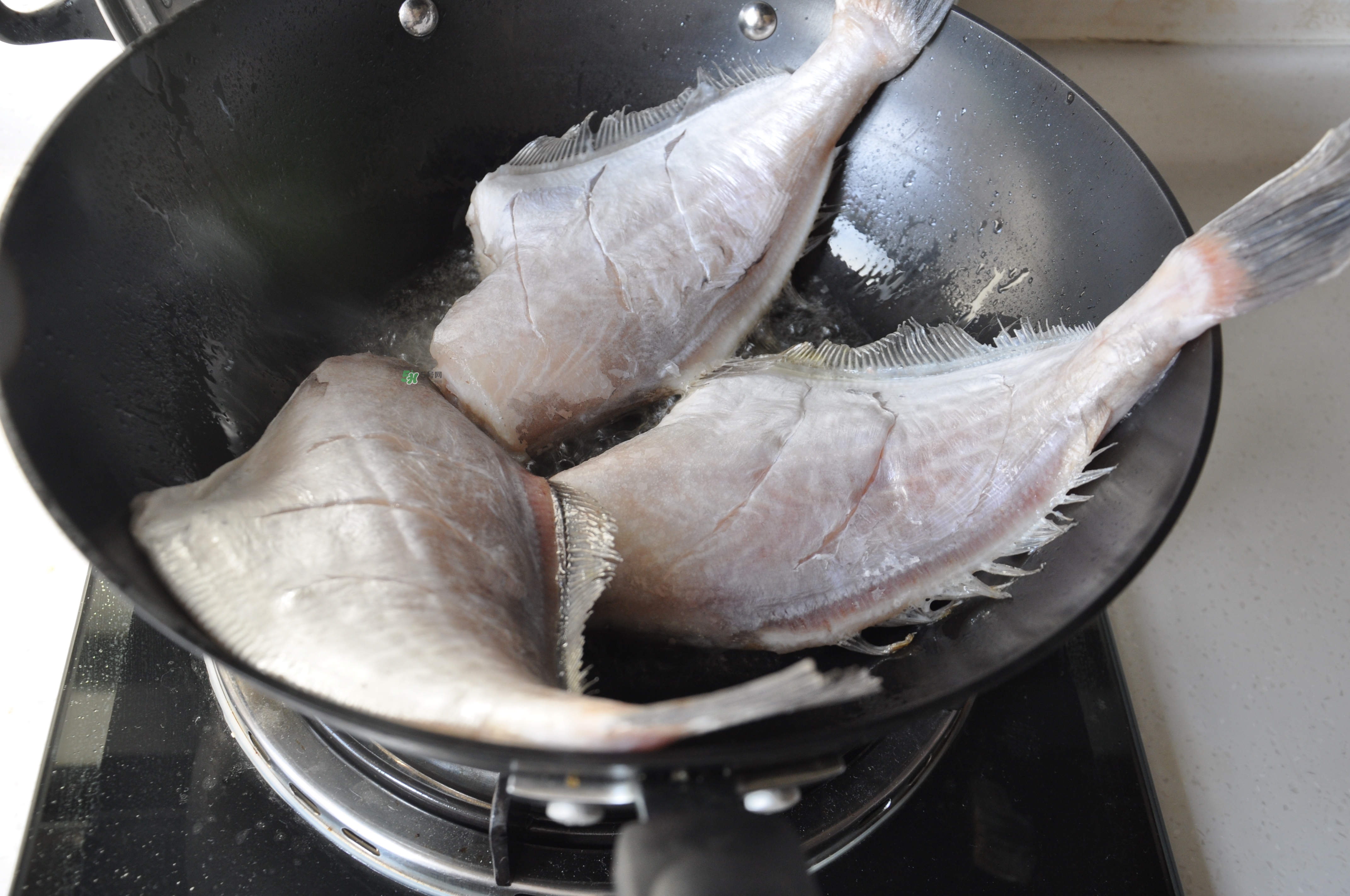 剝皮魚孕婦可以吃嗎？懷孕可以吃剝皮魚嗎？