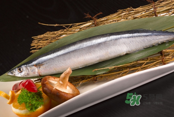 秋刀魚是不是鲅魚？秋刀魚和鲅魚的區(qū)別