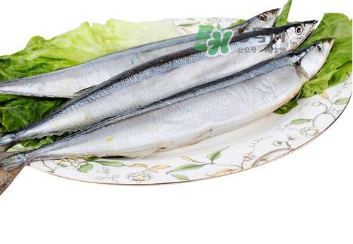 秋刀魚(yú)是海魚(yú)嗎？秋刀魚(yú)是淡水魚(yú)還是海魚(yú)