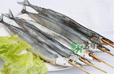 秋刀魚(yú)是海魚(yú)嗎？秋刀魚(yú)是淡水魚(yú)還是海魚(yú)