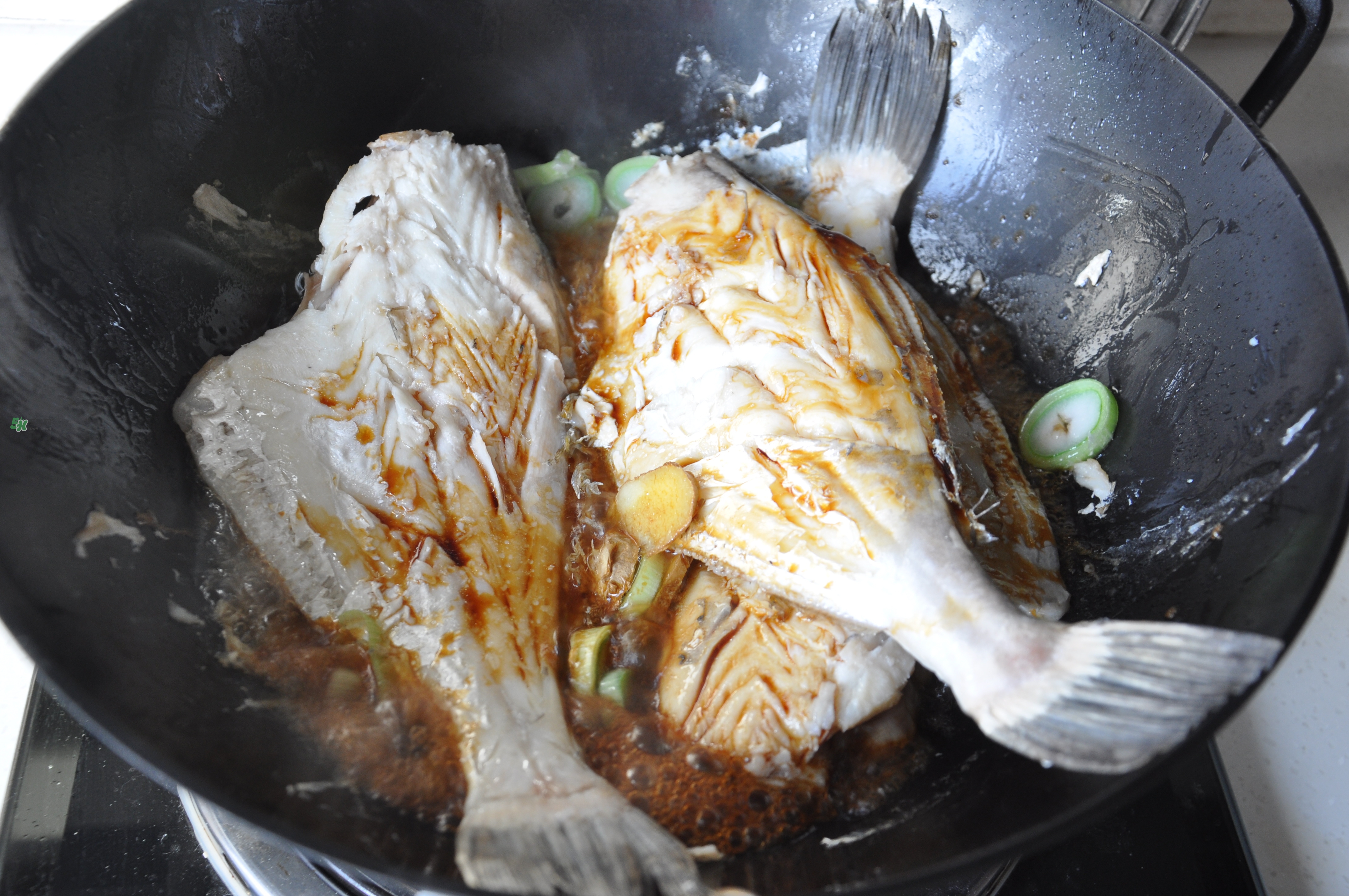 剝皮魚孕婦可以吃嗎？懷孕可以吃剝皮魚嗎？
