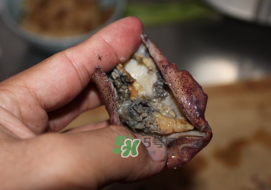 筆管魚怎么清洗？筆管魚怎么處理