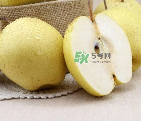 雪花梨什么時(shí)候成熟？雪花梨幾月份成熟？