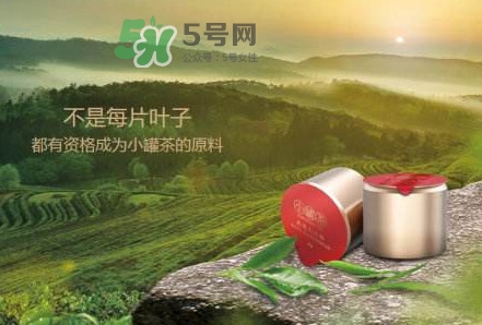 小罐茶是什么茶？小罐茶是哪八種茶？