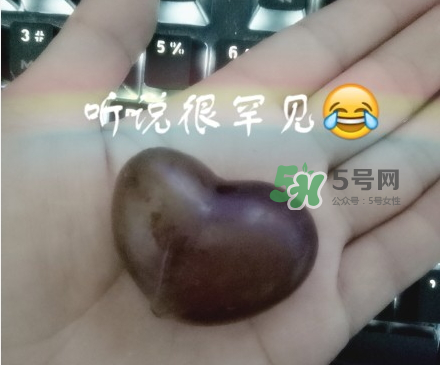 心形葡萄能吃嗎？心形葡萄和普通葡萄的區(qū)別