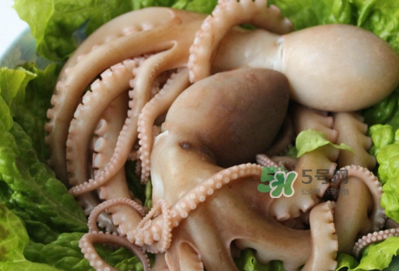八爪魚的頭能吃嗎？八爪魚的頭里面是什么