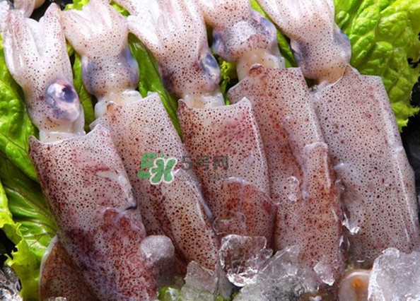 筆管魚怎么清洗？筆管魚怎么處理