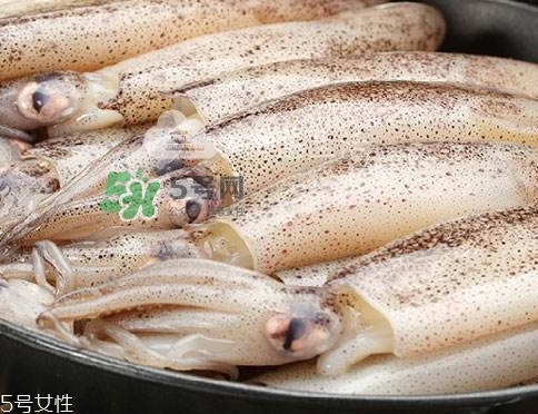 海兔子是什么？海兔子是墨魚嗎