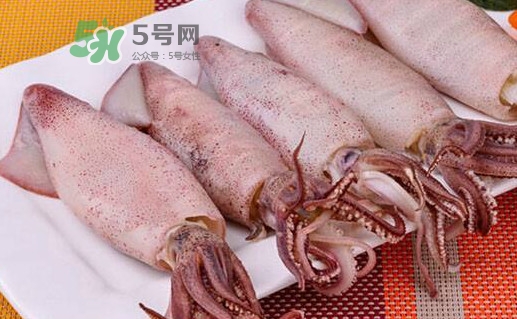 海兔子是小魷魚嗎？海兔子和魷魚的區(qū)別