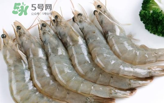 厄瓜多爾蝦是海蝦嗎？厄瓜多爾蝦好吃嗎？