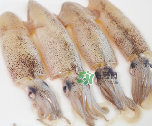 筆管魚是什么魚？筆管魚怎么吃