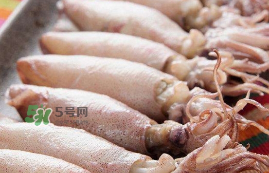 海兔子是小魷魚嗎？海兔子和魷魚的區(qū)別