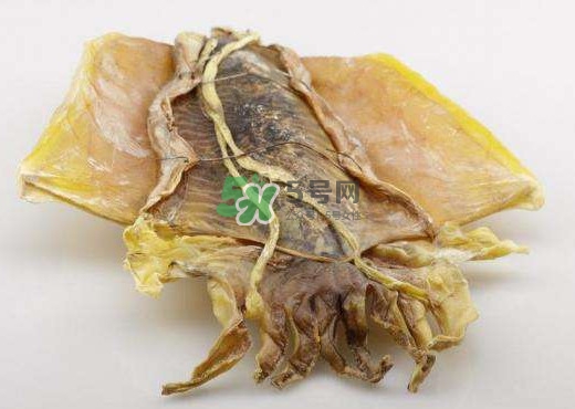 魷魚干是生的還是熟的？魷魚干是海鮮嗎