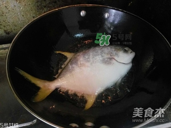 金鯧魚是海魚嗎？金鯧魚的刺多嗎？