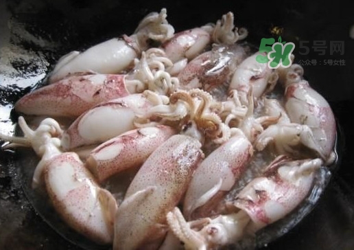 筆管魚是魷魚嗎？筆管魚和魷魚的區(qū)別