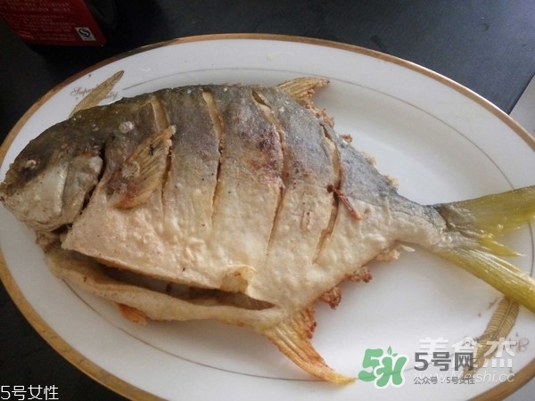 金鯧魚是海魚嗎？金鯧魚的刺多嗎？