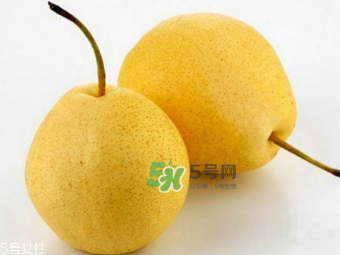 貢梨可以做冰糖雪梨嗎？貢梨可以燉川貝嗎？