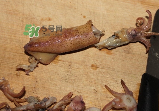 筆管魚怎么清洗？筆管魚怎么處理