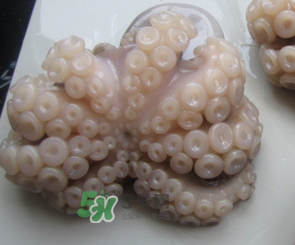 章魚有牙齒嗎？章魚天敵是什么
