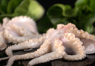 章魚有幾只腳？章魚有幾個爪子