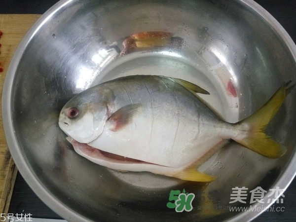 金鯧魚是海魚嗎？金鯧魚的刺多嗎？