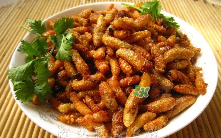 蜂蛹可以生吃嗎？蜂蛹的營養(yǎng)價值