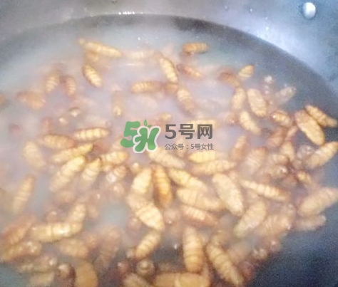 蜂蛹怎么保存？蜂蛹怎么做好吃？