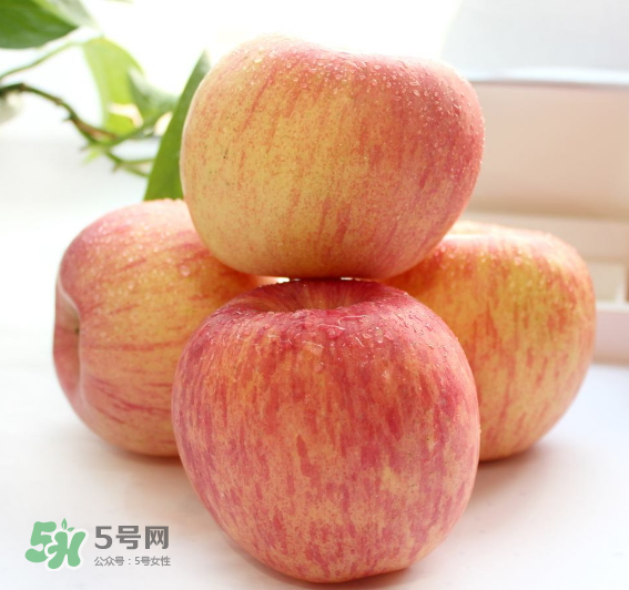蘋果種類有哪些？蘋果種類哪種最好