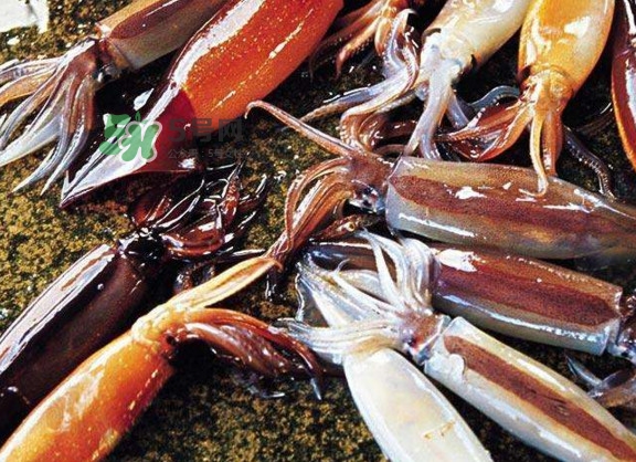 魷魚(yú)是堿性食物嗎？魷魚(yú)是酸性還是堿性？