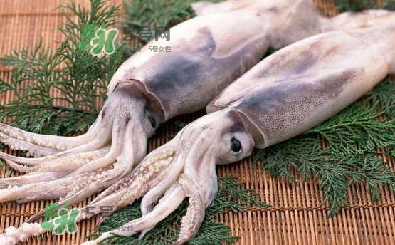 魷魚是海魚嗎？魷魚怎么炒好吃