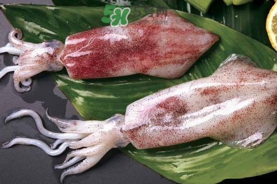 新鮮魷魚怎么處理？魷魚怎么清洗？
