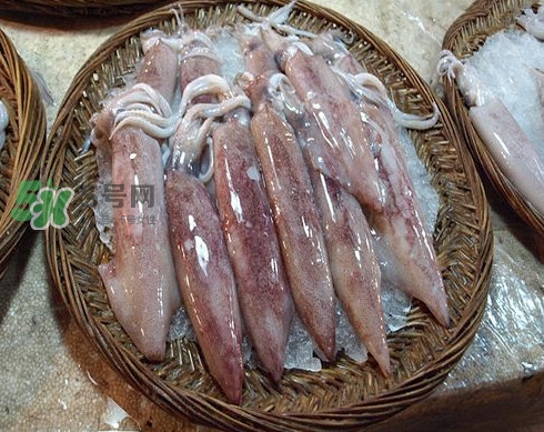 新鮮魷魚怎么保存？魷魚可以冷凍嗎